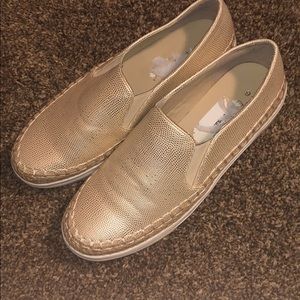 Extreme Slip On Shoes